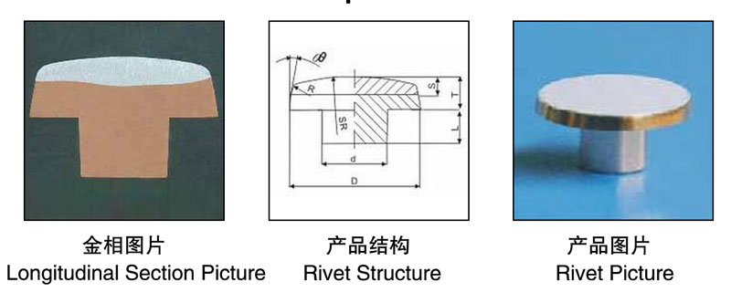 Longitudinal Section Picture,Rivet Structure,Rivet Picture