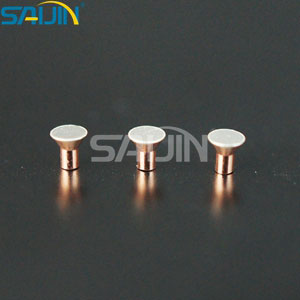 Electrical Contacts Supplier Introduction_ Electrical Silver Contact rivet 