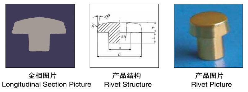 Longitudinal Section Picture,Rivet Structure,Rivet Picture