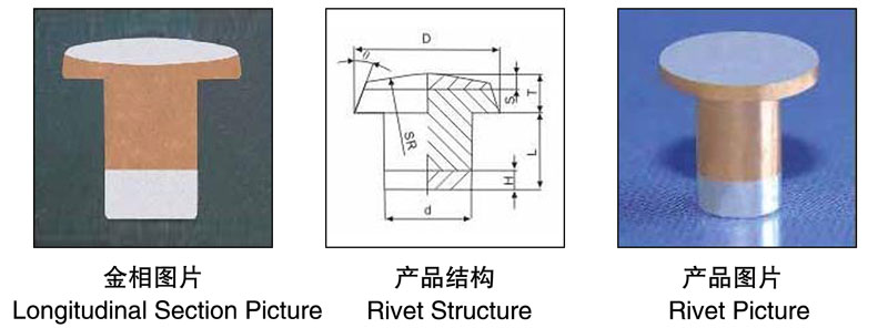 Longitudinal Section Picture,Rivet Structure,Rivet Picture