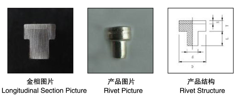 Longitudinal Section Picture,Rivet Picture,Rivet Structure